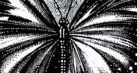 The Sequencer's Silence: How ChainUnity's Decentralization Claim Died in a Single Transaction The Sequencer's Silence: How ChainUnity's Decentralization Claim Died in a Single Transaction