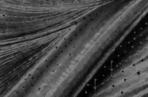 Zcash's 41% Surge: Tracing the Gas Leak Where Speculation Bled Into Code Zcash's 41% Surge: Tracing the Gas Leak Where Speculation Bled Into Code