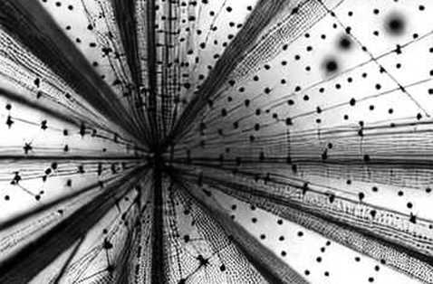 When the Data Goes Silent: The Unseen Crisis of Empty Analysis in Crypto Markets When the Data Goes Silent: The Unseen Crisis of Empty Analysis in Crypto Markets