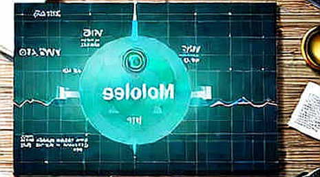Bubblemaps Exposes XST: 74% Supply Concentration and the TikTok Meme Coin Trap Bubblemaps Exposes XST: 74% Supply Concentration and the TikTok Meme Coin Trap