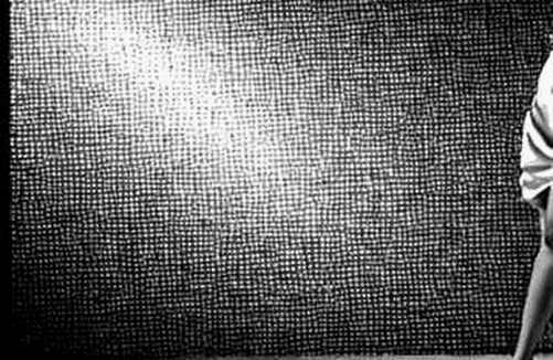 The Silicon Fracture: What the 20% Semiconductor Crash Signals for Crypto's Liquidity Clock The Silicon Fracture: What the 20% Semiconductor Crash Signals for Crypto's Liquidity Clock