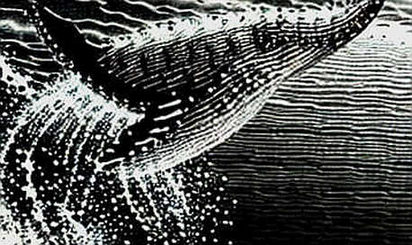 Oil, Airstrikes, and the Unspoken Oracle: Why Bitcoin Miners Are the New Energy Derivatives Curve