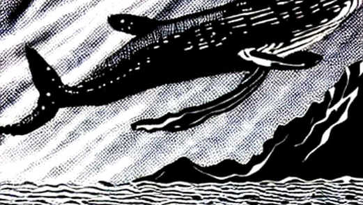 The Poisoned Nest: Why TRAE's Silence Is Louder Than SlowMist's Warning